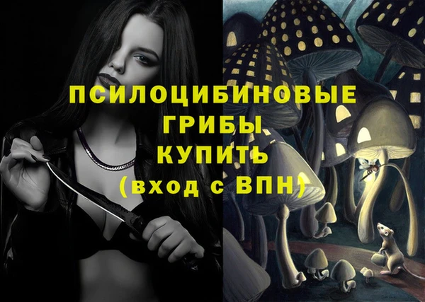 молекула духа Верея