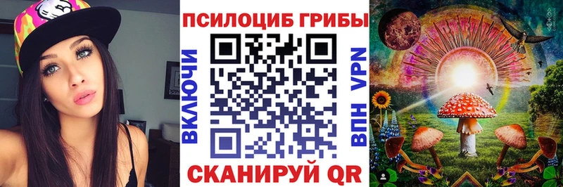 закладки  Тольятти  Галлюциногенные грибы Psilocybine cubensis 