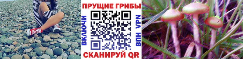 Псилоцибиновые грибы MAGIC MUSHROOMS Тольятти